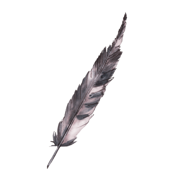 Watercolor set monochrome bird feather with splashes, brush stroke. Hand drawn illustration, clipart png