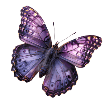 AI generated Purple butterfly PNG. Purple hairstreak butterfly. Purple butterfly top view flat lay PNG