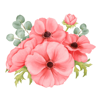 A watercolor composition pink anemone flowers, fresh greenery, and eucalyptus leaves, for wedding invitations, greeting cards, floral-themed branding, art prints, digital wallpapers and home decor png