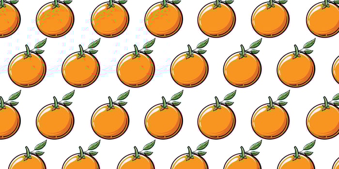 Vector orange fruit with seamless pattern background
