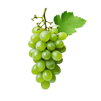 AI generated Green wine grape png isolated on transparent background