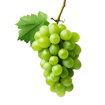 AI generated Green wine grape png isolated on transparent background