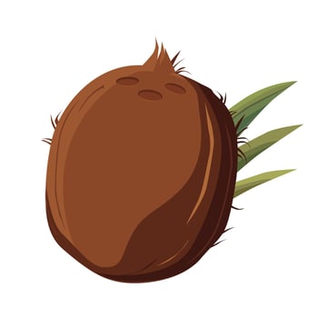 Juicy and healthy brown coconut isolated on white background. Vector fruit illustration in flat style. Summer clipart for design of card, banner, flyer, sale, poster, icons