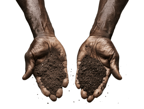 AI generated a handful of soil with transparent background png