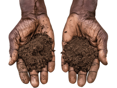 AI generated a handful of soil with transparent background png