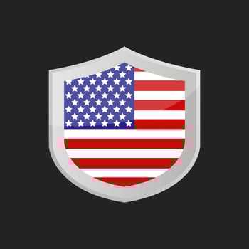 Illustrated United States flag vector