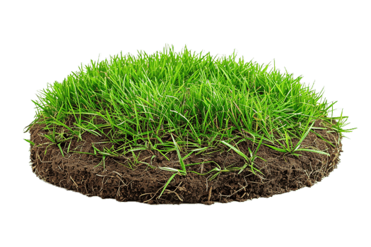 AI generated Fresh Grass Cross-Section with Soil png