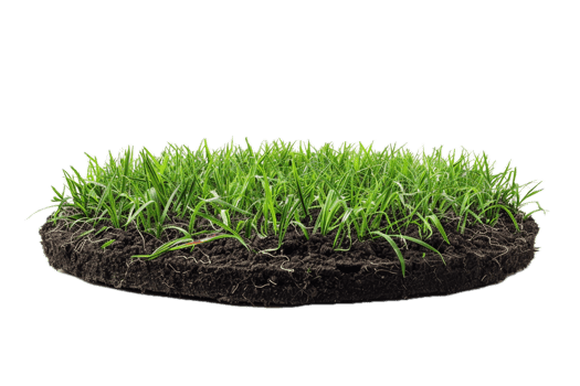 AI generated Fresh Grass Cross-Section with Soil png