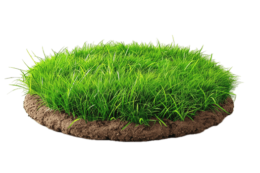 AI generated Fresh Grass Cross-Section with Soil png