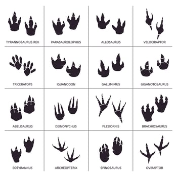 Dinosaur footprint. Reptile foot anatomy, ancient predator animals footprint tracks, paleontology dino traces vector illustration icons set