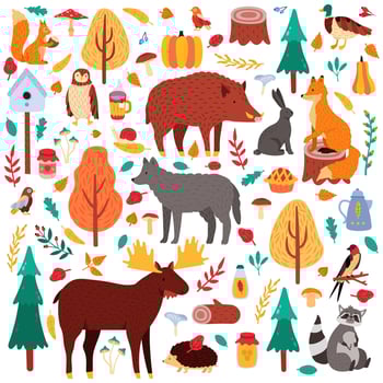 Cartoon autumn animals. Cute woodland birds and animals, moose duck wolf and squirrel, wild woods fauna isolated vector illustration icons set