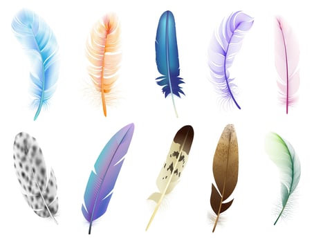 Realistic 3d feathers. Birds colored falling fluffy feathers, floating bird soft plumage feathers isolated vector icons set