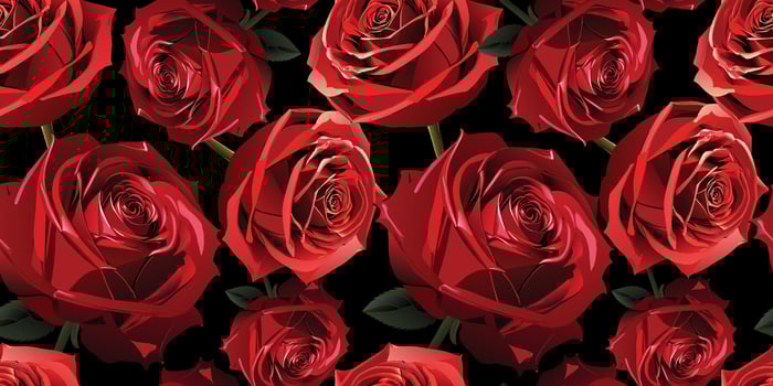 Red velvet blossoming roses floral seamless pattern print vector