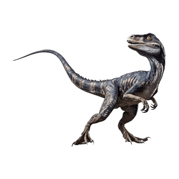 Velociraptor dinosaur on transparent background png