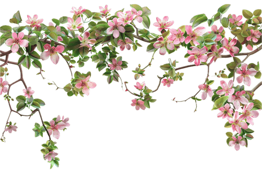AI generated Morning Glory Vine with Purple Flowers png