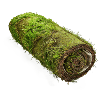 AI generated Rolled lawn isolated on transparent background png