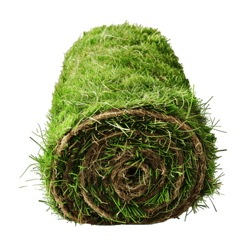 AI generated Rolled lawn isolated on transparent background png