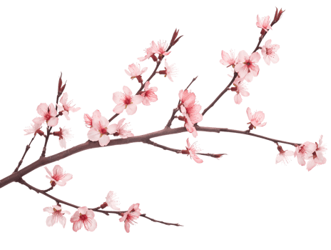 AI generated Sakura branch on transparent background png