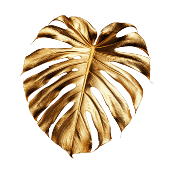 AI generated Monstera plant golden leaf isolated on a transparent background png