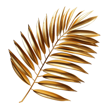 AI generated Golden palm leaf isolated on transparent background png