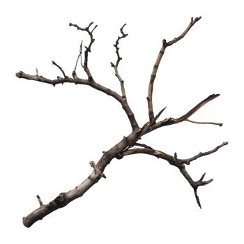 AI generated Dead branch AI generated png