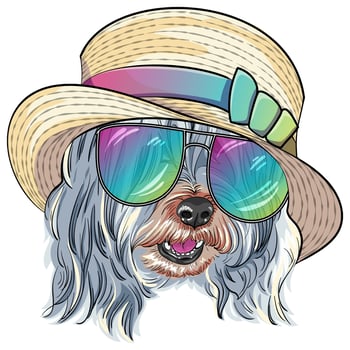 vector dog Lowchen in straw hat