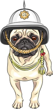 vector funny cartoon dog pug in the British helmet
