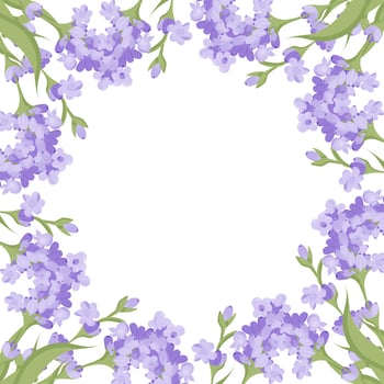Decorative frame of lavender flowers for your design. Vector illustration isolated on white background.