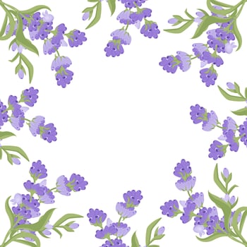 Decorative frame of lavender flowers for your design. illustration isolated on white background. vector