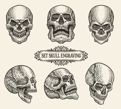 Set illustration skull head with engraving hand drawn style. vector