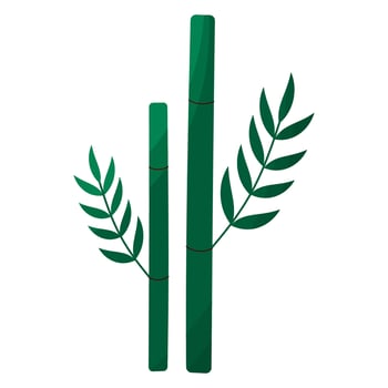 Bamboo trunk with leaves icon evergreen plant vector