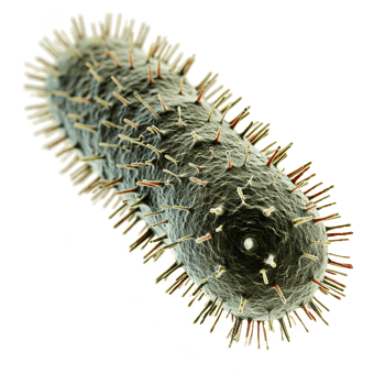 AI generated Microbe isolated on transparent background png