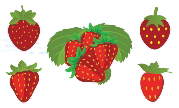 Strawberry Vector Collection