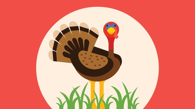Isolated vector illustration of Animal with colorful background
