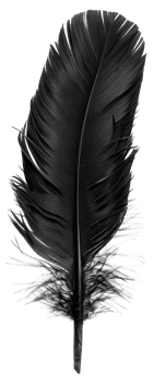 AI generated Black quill on transparent background - stock png. png