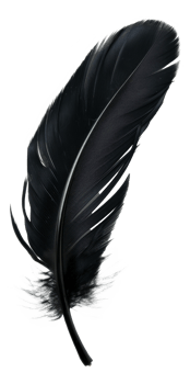 AI generated Black quill on transparent background - stock png. png