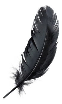 AI generated Black quill on transparent background - stock png. png