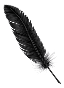 AI generated Black quill on transparent background - stock png. png