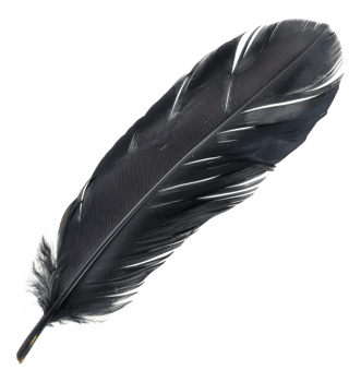 AI generated Black quill on transparent background - stock png. png