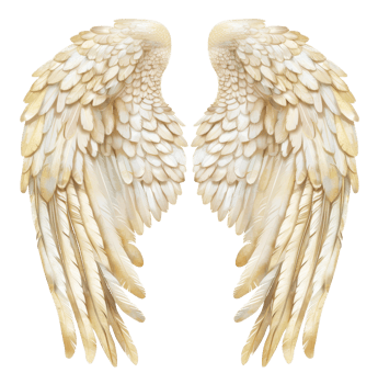 AI generated Pair of creamy white feathered wings on transparent background - stock png. png