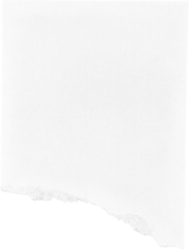 White Torn Paper Piece png