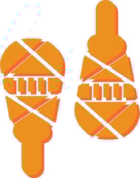 Snowshoes Vector Icon