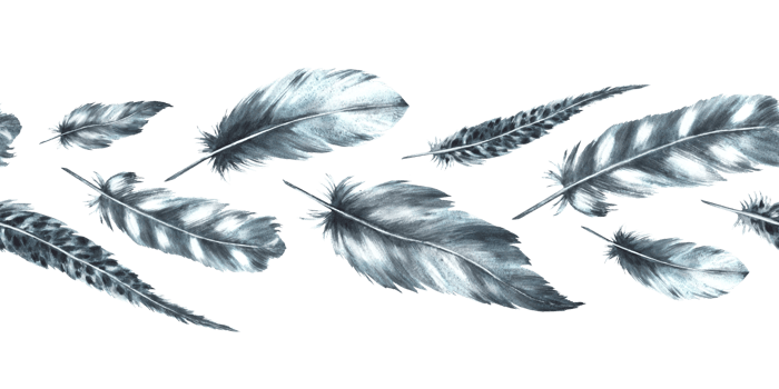 Watercolor seamless border, pattern with monochrome bird feathers grey black color with granulation of shades, ornaments. Quills wings drawing illustration. Wrapping, fabric  background png