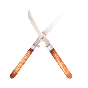 Hand-drawn watercolor illustration. Garden shears with wooden handle png