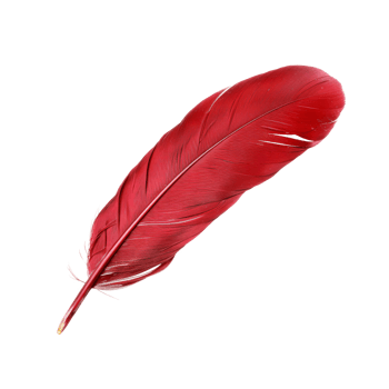AI generated Single red feather with fine texture on transparent background - stock png. png