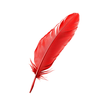 AI generated Single red feather with fine texture on transparent background - stock png. png
