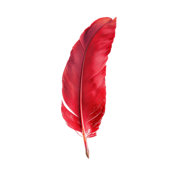 AI generated Single red feather with fine texture on transparent background - stock png. png