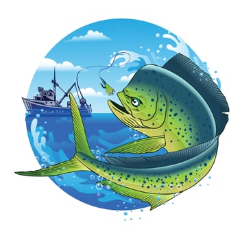 Fishing Boat Catching Dorado  Fish Jumping Out of  Water vector
