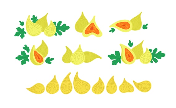 Green figs with leaves. Fresh and dried figs. flat illustrations set isolated on white background. vector