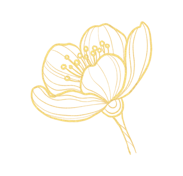 illustration of a golden flower png